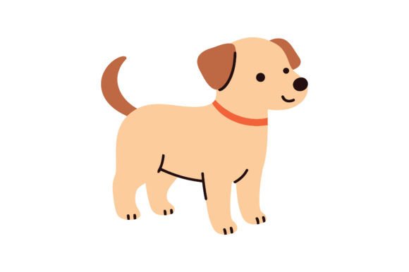Cute Dog with Collar Standing