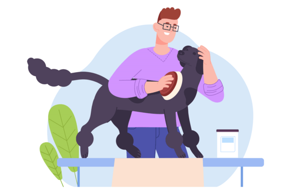 Dog Hair Brushing. Professional Groomer