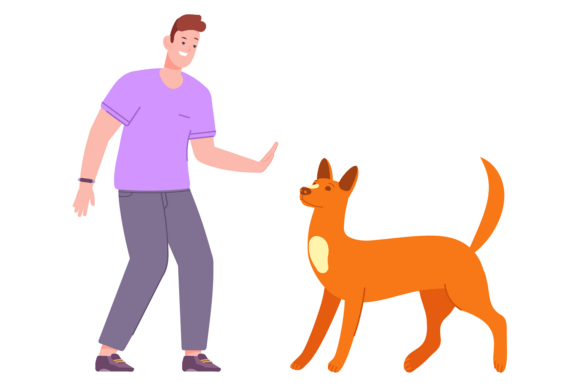 Man Train Dog with Hand Signal Color Scene